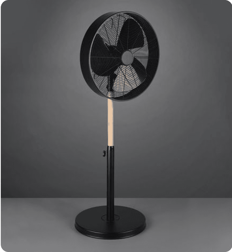 Standing Fan